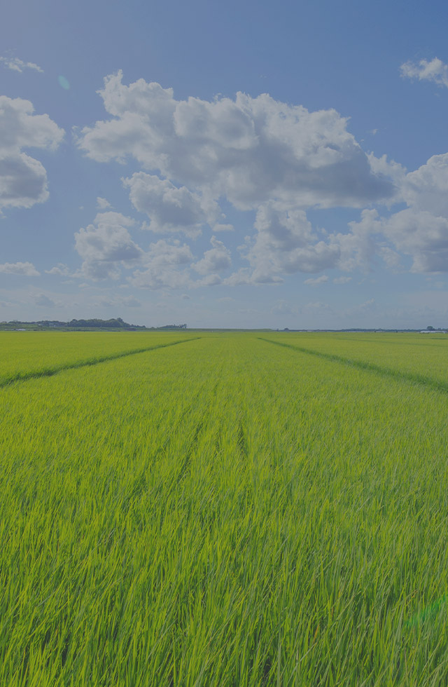 築上町産の上質な稲わらロールを販売しております。