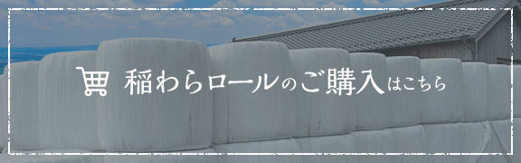 オンラインショップ